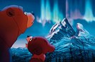 bears-9