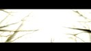 bscap0057