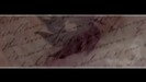 bscap0080