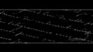 bscap0244