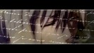 bscap0247