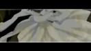 bscap0255
