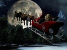 Image (7)