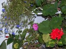 100_5088