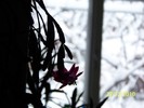 100_6388