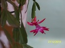 100_6533