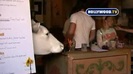 Miley Cyrus Sign Autographs For Fans At Market City. 091