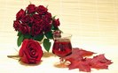 trandafiri_rosi
