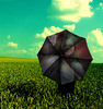 photofacefun_com_UcgXeBE