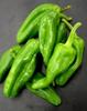 Pimiento_verde_del_pais