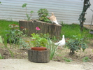 Picture 004