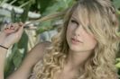 Taylor Swift (29)