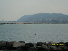 Cattolica