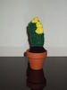 Cactus cu floricele galbene