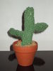Cactus miniatural tricotat