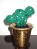 Cactus miniatural tricotat