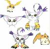 gatomon%20and%20patamon[1]