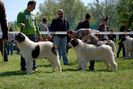 dsc_2739[1]