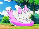 pachirisu shiny dormind!!!