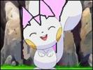 pachirisu vesel