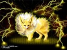 jolteon(themisspokemon)