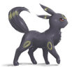 FanArt__Umbreon_by_white_angel_ariah[1]