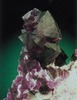 60_Fluorina