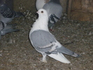P1100764
