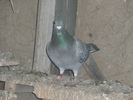 P1100789