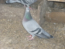 P1100790