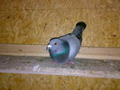 26052010554