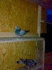 26052010569_001