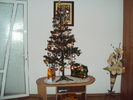 DSC06008