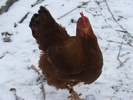 DSCF5906