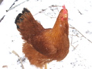 DSCF5907