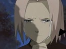 naruto_sakura814