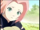 naruto_sakura836