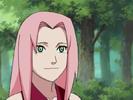 naruto_sakura917
