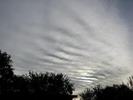 cirrostratus