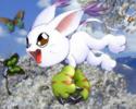 Gatomon(MewSHINY)