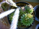 IMAG0021