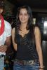 Shweta_Tiwari_-_Premiere_of_Hama-2