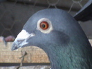 DSC01825