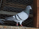 DSC01843