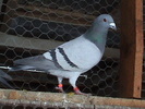 DSC01844