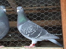 DSC01845