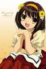 haruhi