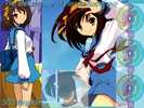 SuzumiyaWallpaper