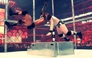 Randy_Orton_vs__Sheamus_Hell_In_A_Cell13