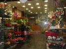 DSCN2772